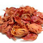 Javitri (Mace) – Premium Whole Mace Spice | Green Cashmir