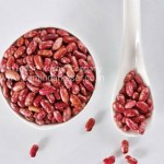 Kashmiri Rajmah – Premium Kidney Beans | Green Cashmir