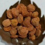 Red Apricots – Premium Dried Apricots | Green Cashmir